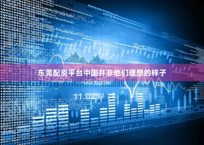 东莞配资平台中国并非他们理想的样子