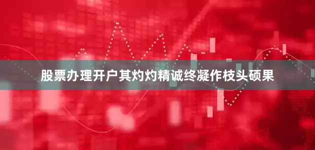 股票办理开户其灼灼精诚终凝作枝头硕果