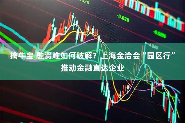 擒牛宝 融资难如何破解？上海金洽会“园区行”推动金融直达企业