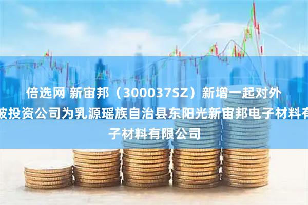 倍选网 新宙邦（300037SZ）新增一起对外投资，被投资公司为乳源瑶族自治县东阳光新宙邦电子材料有限公司