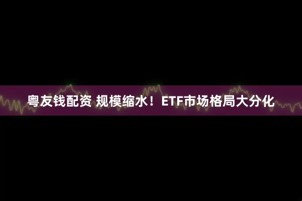 粤友钱配资 规模缩水！ETF市场格局大分化