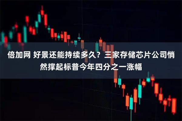 倍加网 好景还能持续多久？三家存储芯片公司悄然撑起标普今年四分之一涨幅